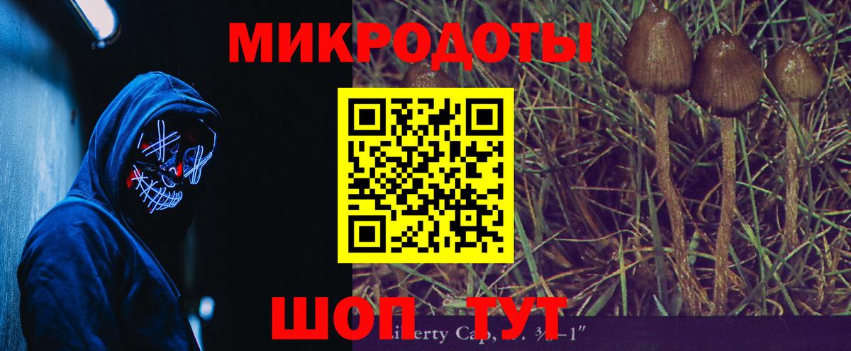 Галлюциногенные грибы Psilocybine cubensis Дзержинск