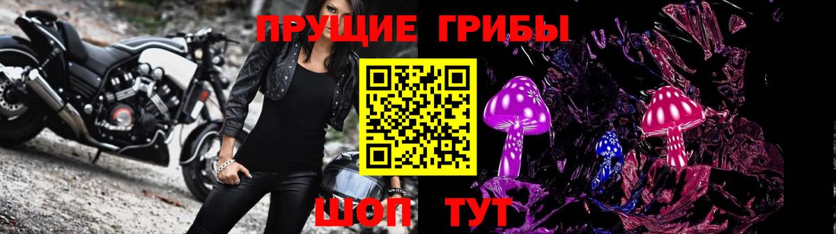 Дзержинск  Галлюциногенные грибы прущие грибы  Вход с VPN 